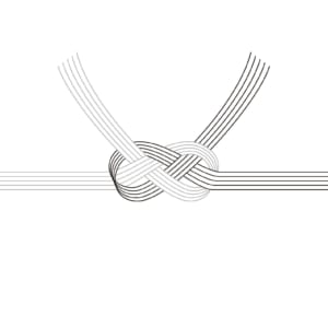 慶弔豆知識 のし紙の種類 紅白５本結び切り編ギフト大丸札幌店公式 SHOP BLOG