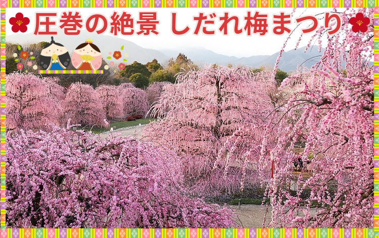 鈴鹿の森庭園で幻想的なライトアップで夜の枝垂れ梅鑑賞 梅まつりも堪能！景勝地趣味時間