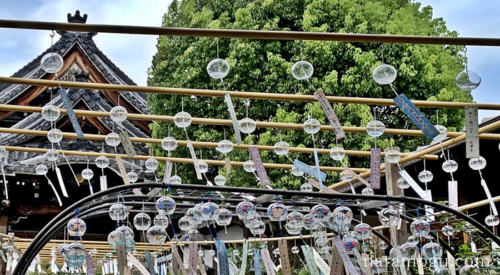 橿原市 おふさ観音の「風鈴まつり」のライトアップを見に行ってみました！号外NET 大和高田市・橿原市