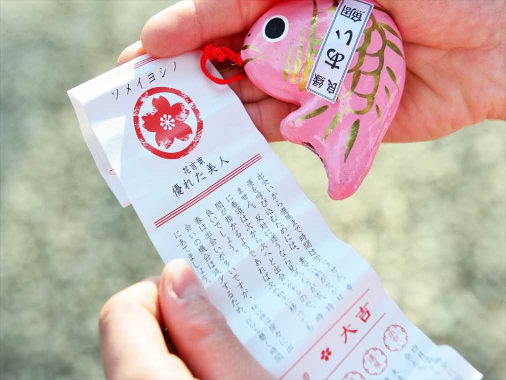 四季の彩りを楽しむ－鯛みくじ－川越氷川神社