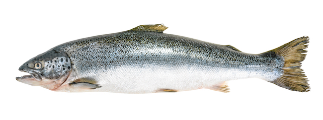 三が日」は料理をしないほうがいいって本当!? 年末年始にやってはいけないことDomani