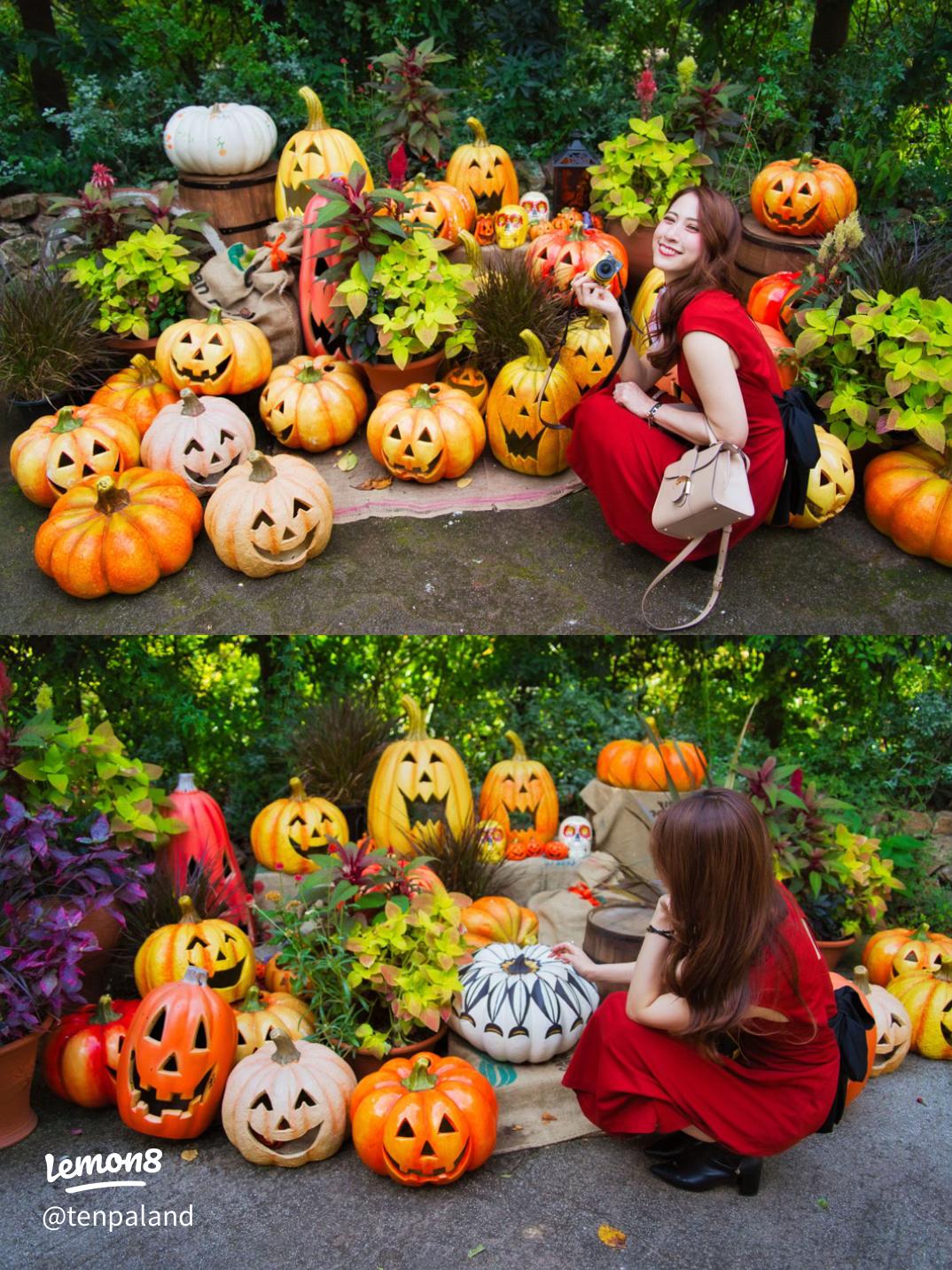 フラワーセンターでハロウィンを楽しもう！ おばけかぼちゃ広場、謎解きラリー、特設フォトスポット 親子で楽しめるコンテンツがいっぱい！お菓子のプレゼントも♪週末は夜間も開園します 10月12日～31日：大船フラワーセンター湘南エリア横浜・湘南で子供と