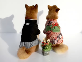 門松を飾る意味神さまとの関係は？いつからいつまで飾るのがよいの？開運の神様