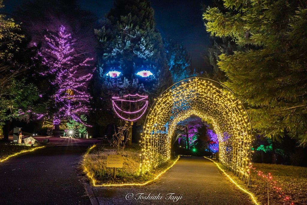 2024‐2025 埼玉のイルミネーション大特集！クリスマスデートで行きたい穴場スポットも紹介aumo アウモ