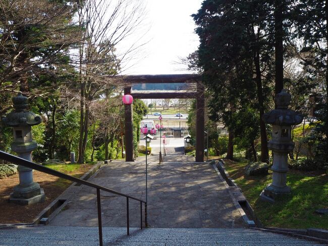 天空に伸びる「光の柱」、未来を表現 偕楽園ライトアップ : 読売新聞