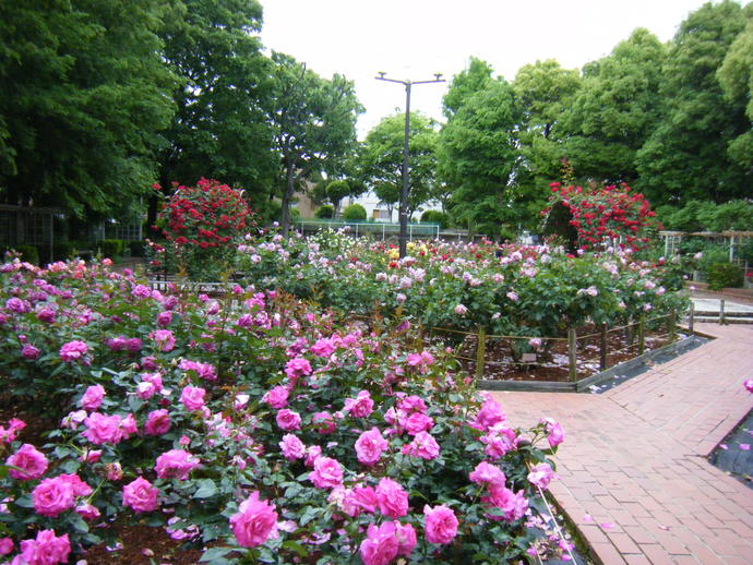 井の頭公園駅すぐ下で第53回「井の頭ふれあい盆踊り大会」開催！屋台も出ます！2024年7月26日と27日吉グル