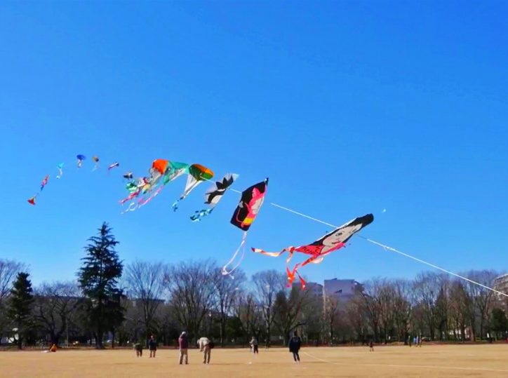 その由来、知ってる？ 子どもと学ぶ 正月遊び - 年中行事 - sikisaisai