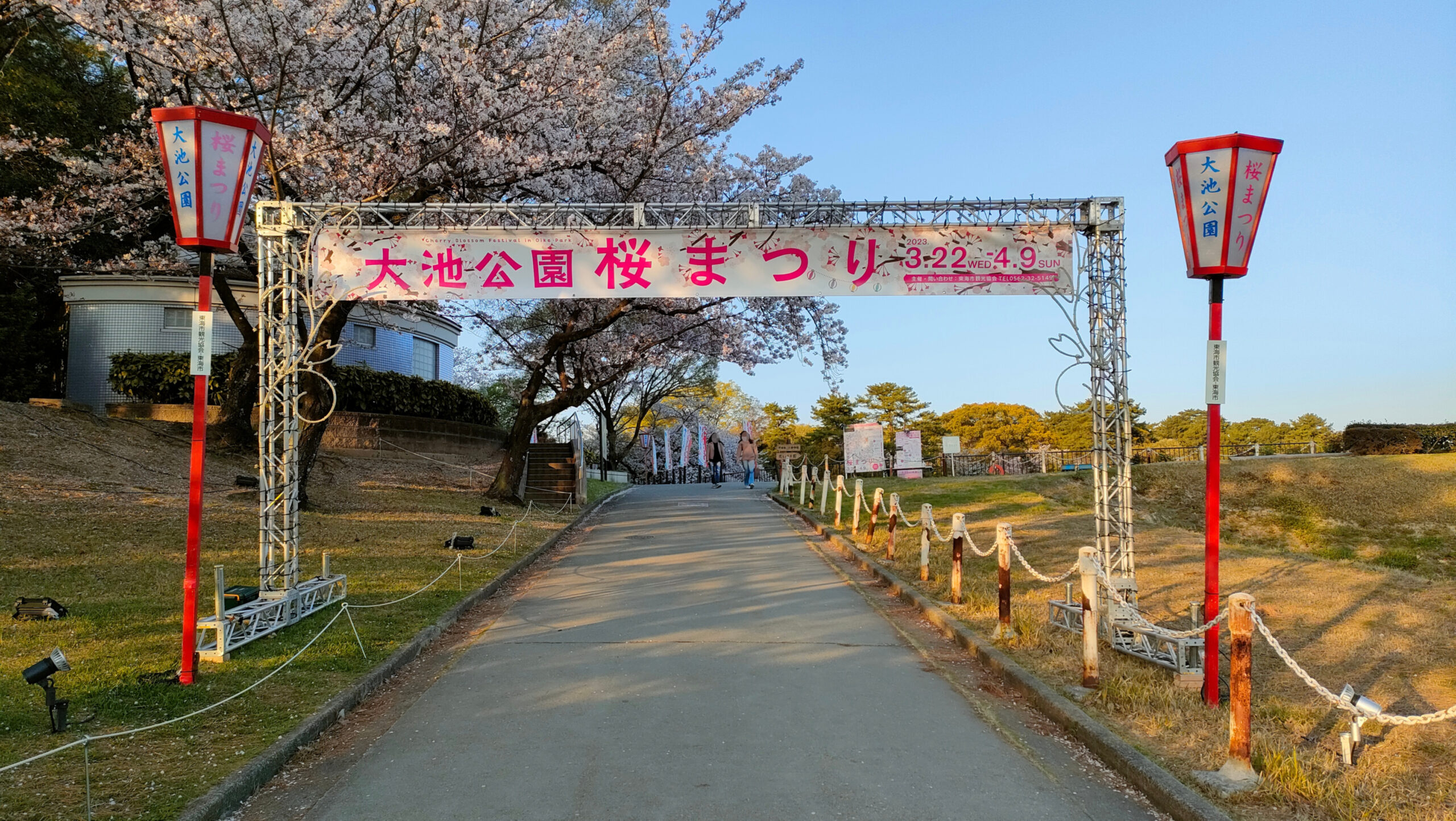 大池公園桜まつり東海市観光協会