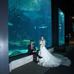 マリンワールド海の中道水族館お客様レポート福岡・九州でフォトウェディング・前撮りならウェディングセレクト！フォトウェディング