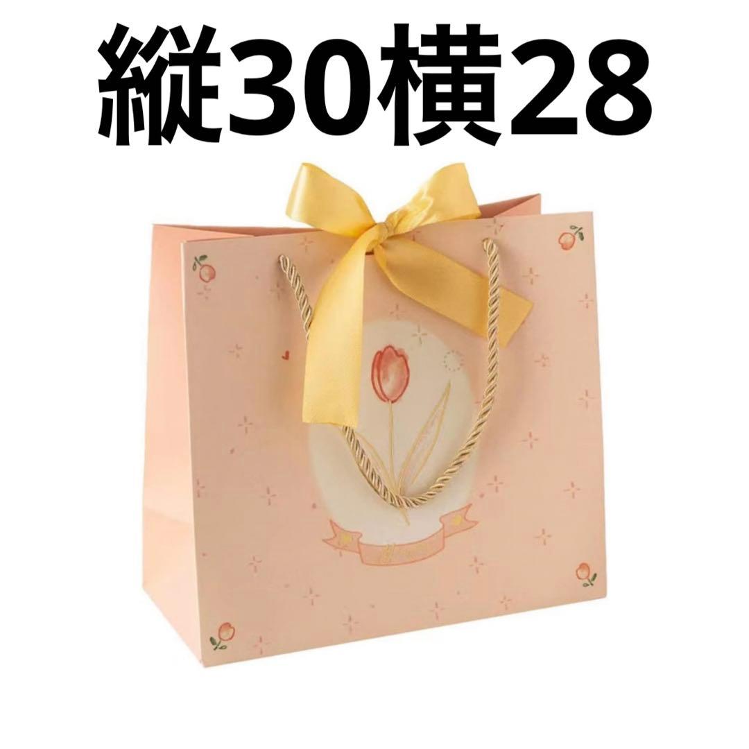 送料無料 5枚セット 紙袋 手提げ ギフト おしゃれ 手提げバッグ バッグ bag ラッピング袋 プレゼント リボン手提げ袋 引き出物袋 クリスマスバレンタイン ラッピング シンプル かわいい おしゃれ 包装 梱包 アクセサリー 贈り物 誕生日 ペーパーバッグ イベント 出産