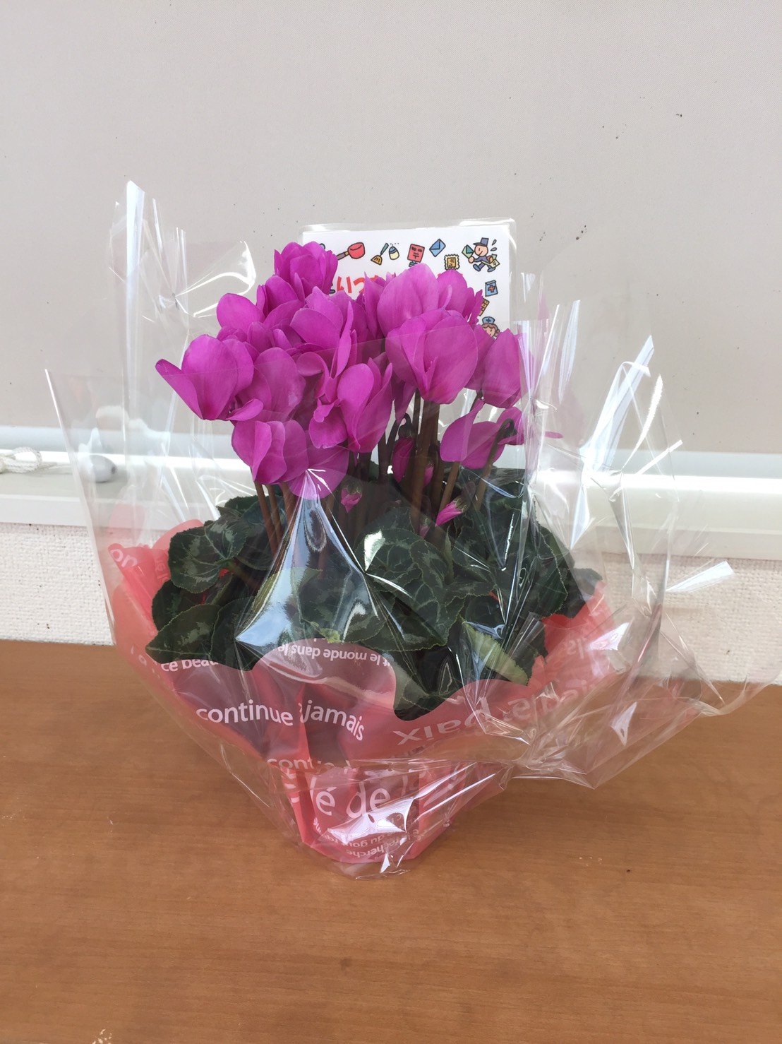 楽天市場 勤労感謝の日 花の通販