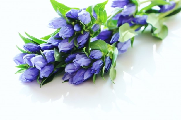 敬老の日 そのまま飾れる花束「茜華」