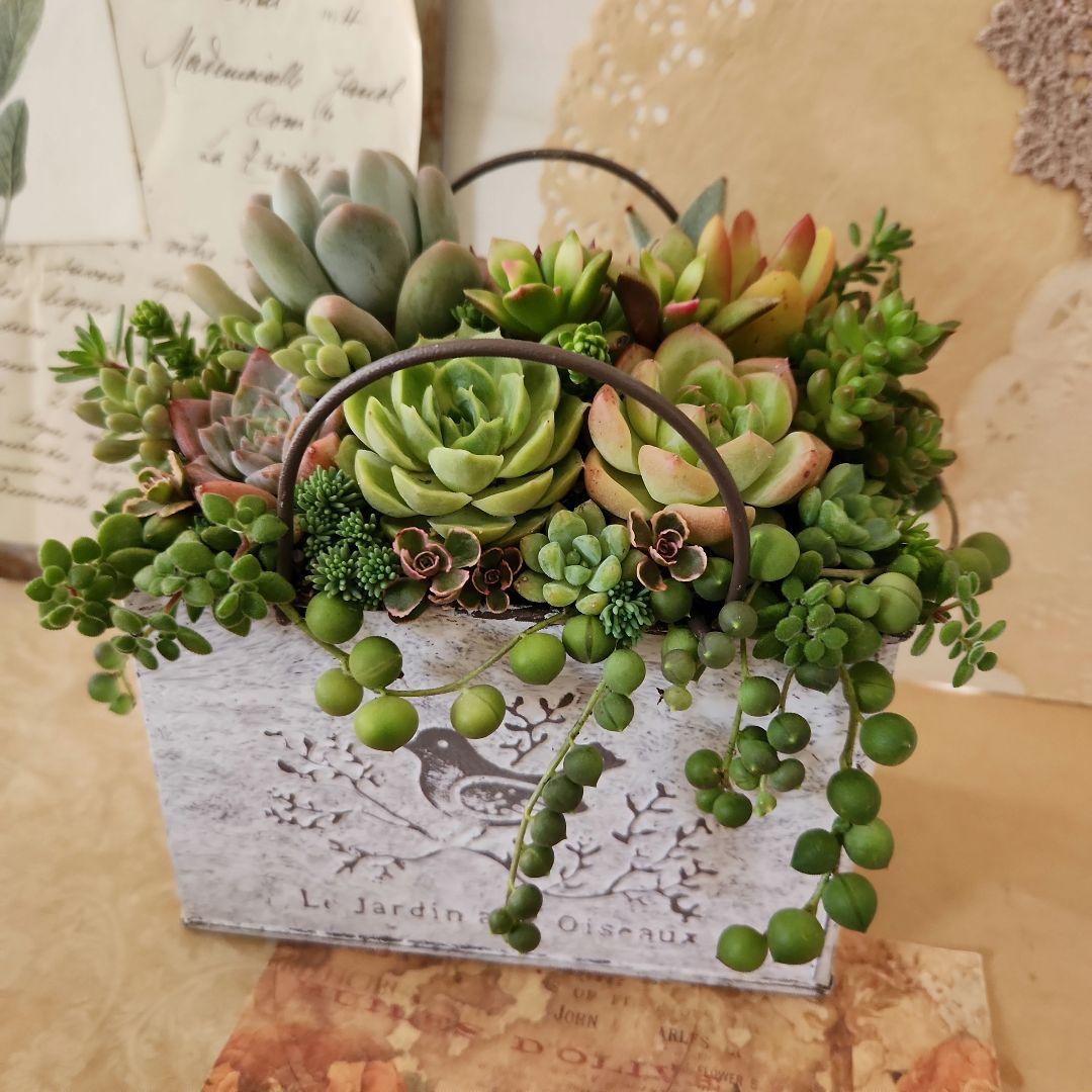 クリスマス寄せ植えのインテリア実例RoomClip ルームクリップ