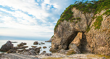 印刷用 福島の３海水浴場開設 「笑顔が復興後押し」全国ニュース四国新聞社