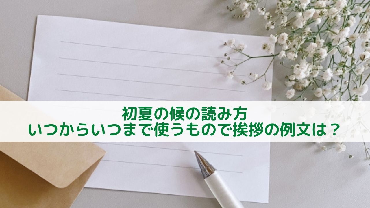 Amazon.co.jp: めでたや 肌吉紙 レターセット 夏の訪れ 初夏 夏 手紙 セット 和紙 紫陽花 柄 縦書き 横書き シンプル お礼状 挨拶状和文具 お中元 : 文房具・オフィス用品