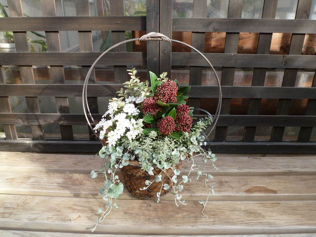 クリスマスの寄せ植えの作り方相性のいい植物や寄せ植え例を紹介