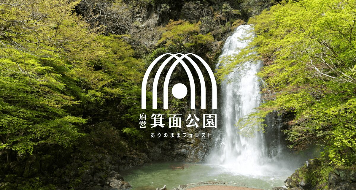 ベランダから見る「なにわ淀川花火大会」 - チコのCOFFEE TIME