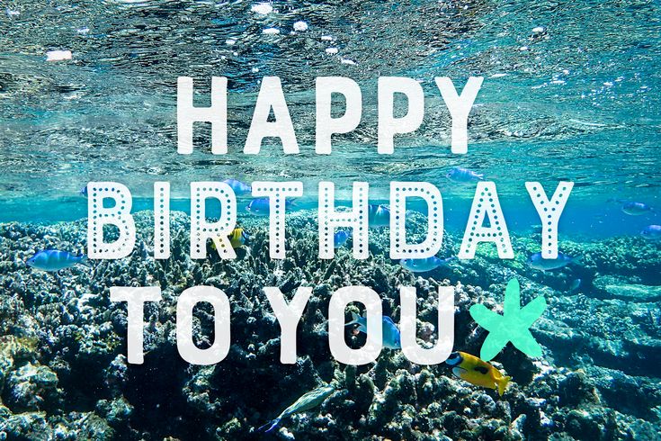 おしゃれな誕生日ケーキとは？ 絶対に喜ばれるおすすめ人気ランキング30選！2025年徹底解明版Giftpedia byギフトモール&アニ