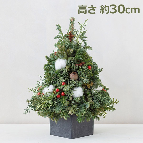 ミニクリスマスツリー クリスマスツリー 卓上おしゃれ 北欧 クリスマス 飾り タイプ1 小物 M 置物 付け 雑貨 小さめ クリスマス雑貨 デスク玄関 テーブル 置物 室内装飾 雰囲気満 オーナメン Amazon.co.jp: LED ミニ クリスマスツリー 60cm 北欧 おしゃれ クリスマス