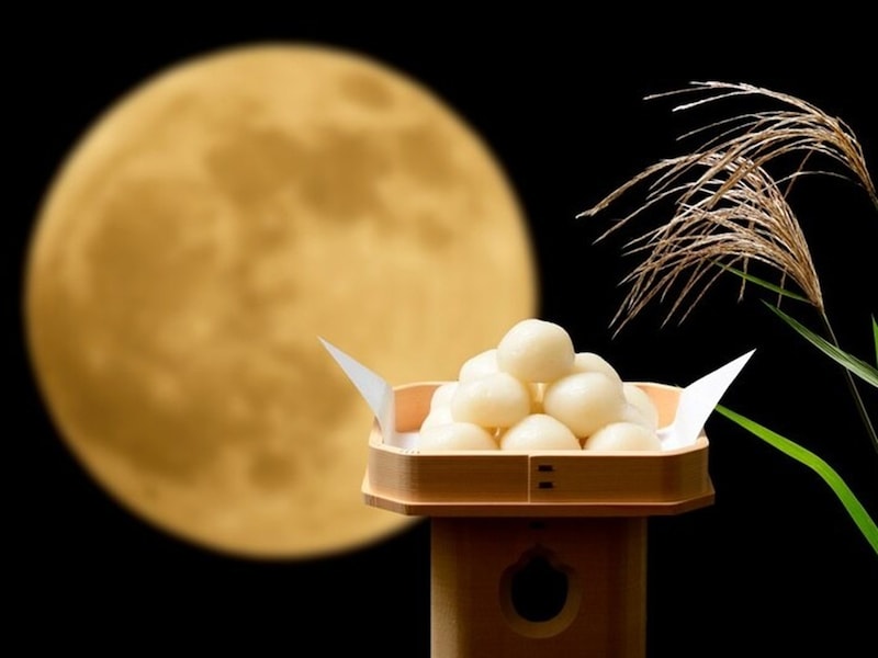 楽天市場 月見 団子 台の通販