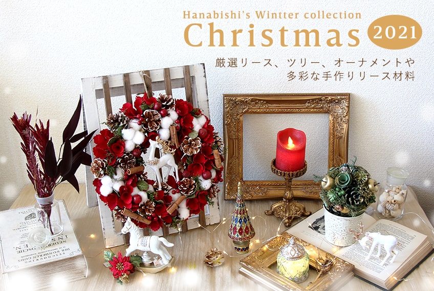 楽天市場 クリスマス ドライフラワー 花材 小さめ レジン ハーバリウム セット 花材セットリース キャンドル サシェ 素材 材料 手作りハンドメイド リングピロー フラワーアレンジ 1000円ポッキリ 送料無料 : 多肉植物・フラワーギフトConiwa