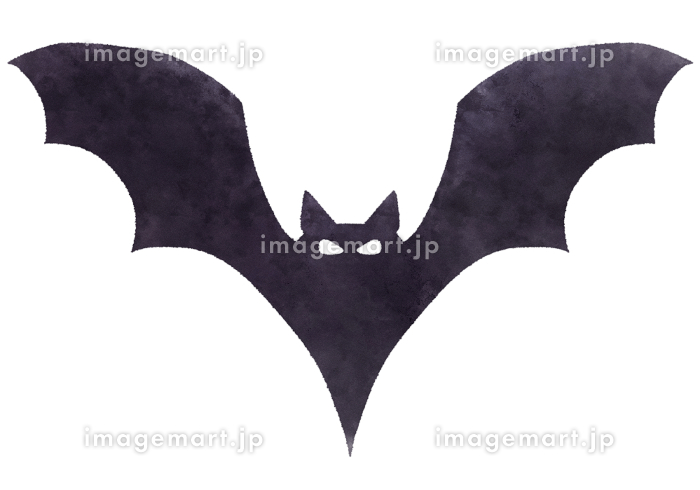 コウモリの簡単可愛い白黒イラスト ハロウィン素材225133359- イメージマート