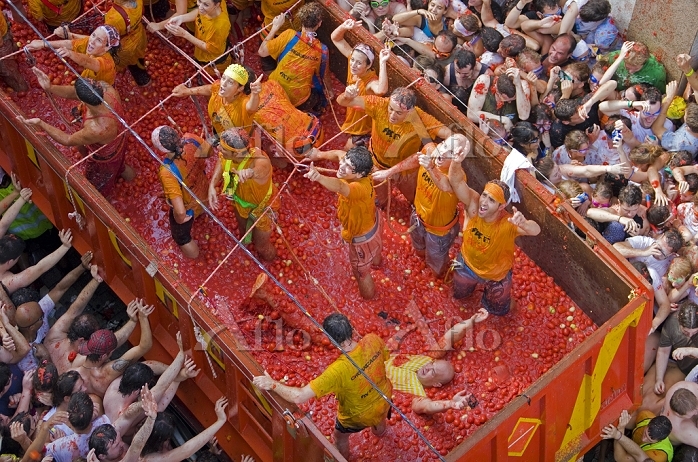コロンビアでトマト投げ祭り、真っ赤になれば皆友達ロイタ