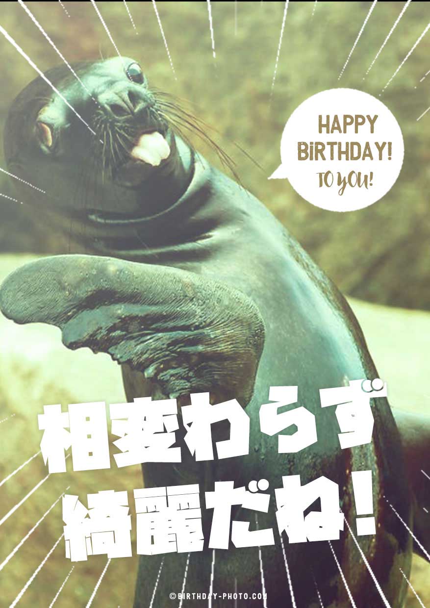 爆笑 笑える誕生日メッセージ 面白い」の検索結果 - Yahoo!検索 画像