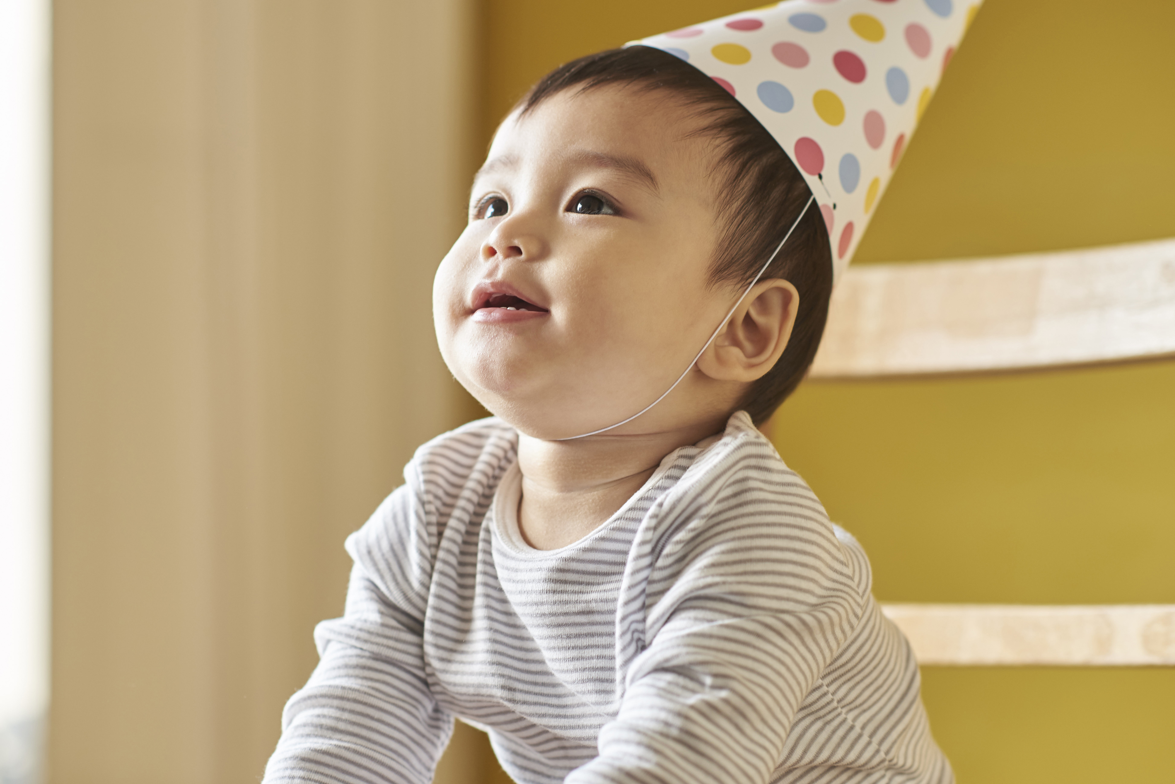 保育園の年間行事、ねらいとポイントについて紹介！ 記事545 保育士.netコラム