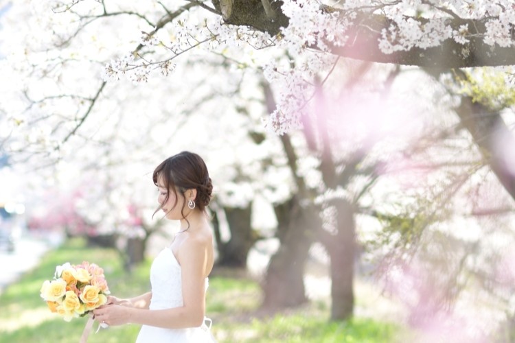 楽天市場 マスク 結婚式 西陣織 礼装 フォーマル 京都 日本製 さくら 桜 sakura シルク100% リバーシブル 高級 和柄 着物 こだわりプレゼント 入学式 卒業式 成人式 合格祝い 縁起 : ネクタイ専門店 0-STYLE.cravat