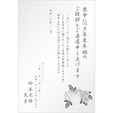 楽天市場私製はがき 10枚 喪中はがき・喪中葉書 ZS-23 喪中 ハガキ 印刷 おしゃれ : ハガキストア