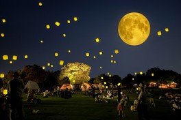 茂原市観光協会 on X: 