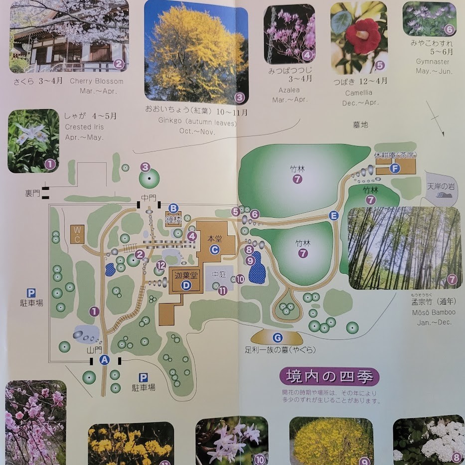 休耕庵 竹の庭の茶席きゅうこうあん- 鎌倉 その他食べログ