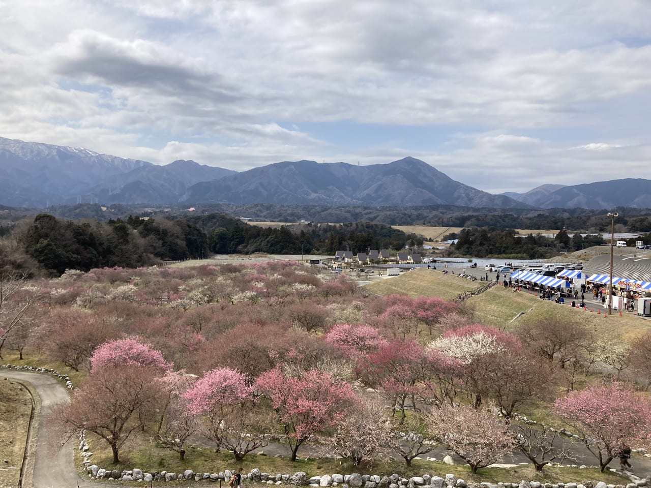 設立10周年企画『2025いなべ市農業公園梅まつりInstagramフォトコンテスト』入賞作品が決定しました。 いなべ市観光協会設立10周年企画『 2025いなべ市農業公園梅まつりInstagramフォトコンテスト』へ沢山のご応募を頂き、誠にありがとうございました。 厳正なる審査の元