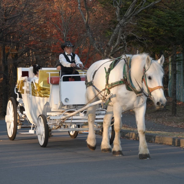 馬車道十番館・洋装ロケーション撮影』 撮影日：2023年7月27日 横浜・馬車道十番館 BRIDARIUM MUE横浜 ブライダリウムミュー横浜 の撮影レポート Photorait