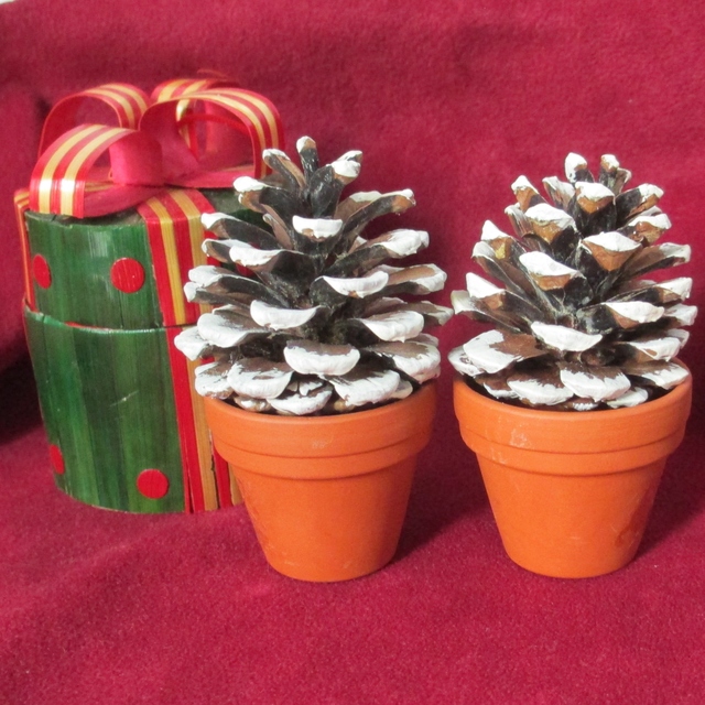 クリスマス用松ぼっくり