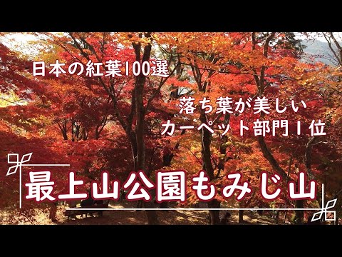 兵庫 2020年版 紅葉まつり9選！絶景ライトアップも楽しめる 中止情報ありみたい-まるはり×みたい-みつけて播磨 姫路、加古川など 情報サイト 旧：姫路みたい