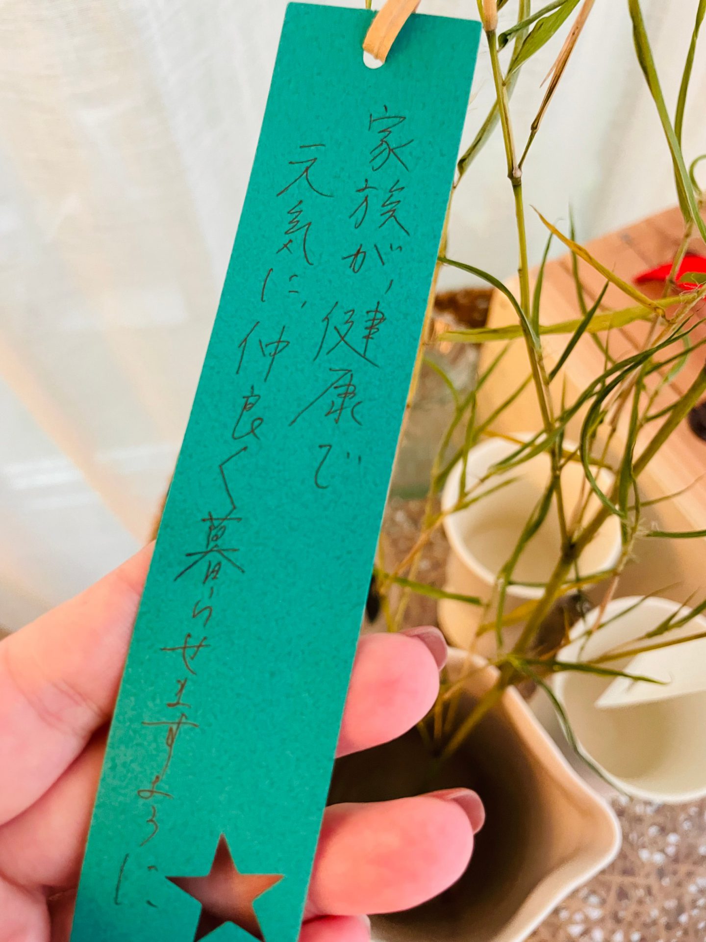 願い事のクセが強い 」 家族みんなで、七夕の短冊を書くと？ 内容に抱腹絶倒 – grapeグレイプ