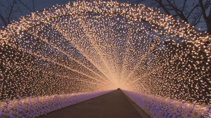 なばなの里イルミネーション2024‐2025のテーマは？料金・期間・点灯時間・お得なチケット情報などを解説します！取材レポート観光三重 かんこうみえ