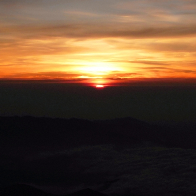 イベントレポート 10月22日 日 『静岡市×エスパルス 三保松原保全イベント』開催清水エスパルス公式WEBサイト