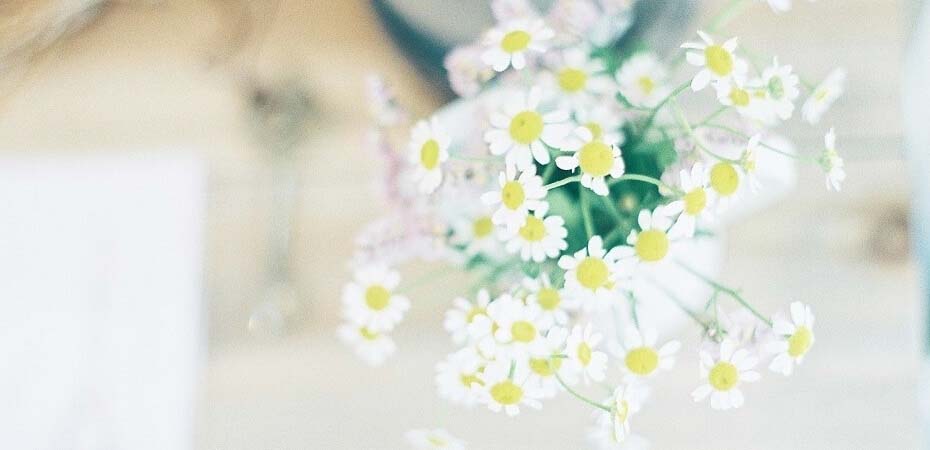 恋愛運は15 尽くしすぎに注意。平和な恋愛に福が訪れる - 2025年上半期の運勢を琉球風水志シウマさんが指南！ スマホの待ち受け画面を変えて運気を上げる「スマホ開運術」＃携帯風水- 今月の占い特集＆診断SPUR