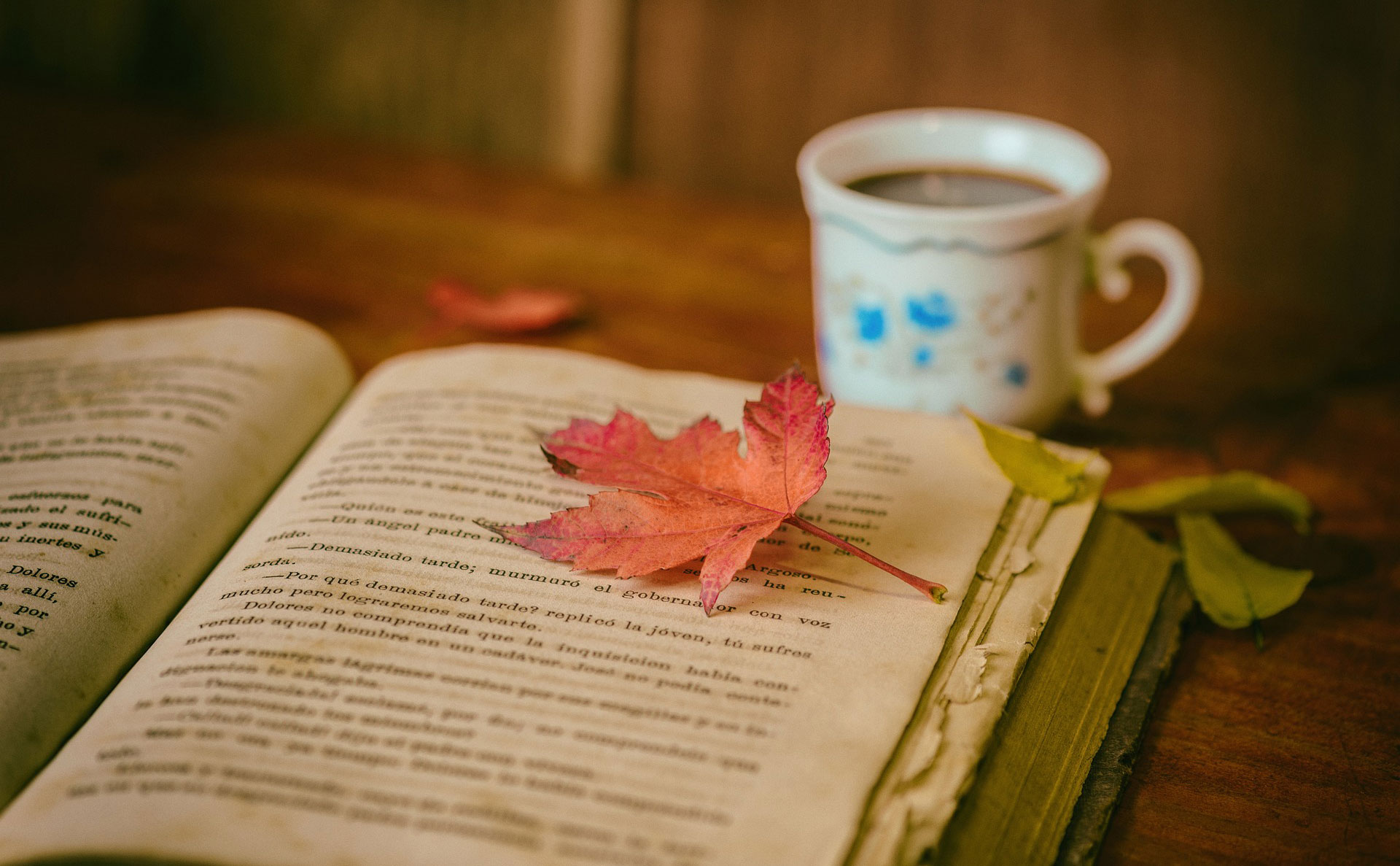 Amazon.co.jp:花工房エーデルワイス バレンタイン ホワイトデー そのまま飾れる 青いバラ12本のブーケ誕生日 花 プレゼント 花束人気 花束 生花 プレゼント ブーケ 20代 30代 40代 60代 70代 80代 ブルーローズ 薔薇 バラ