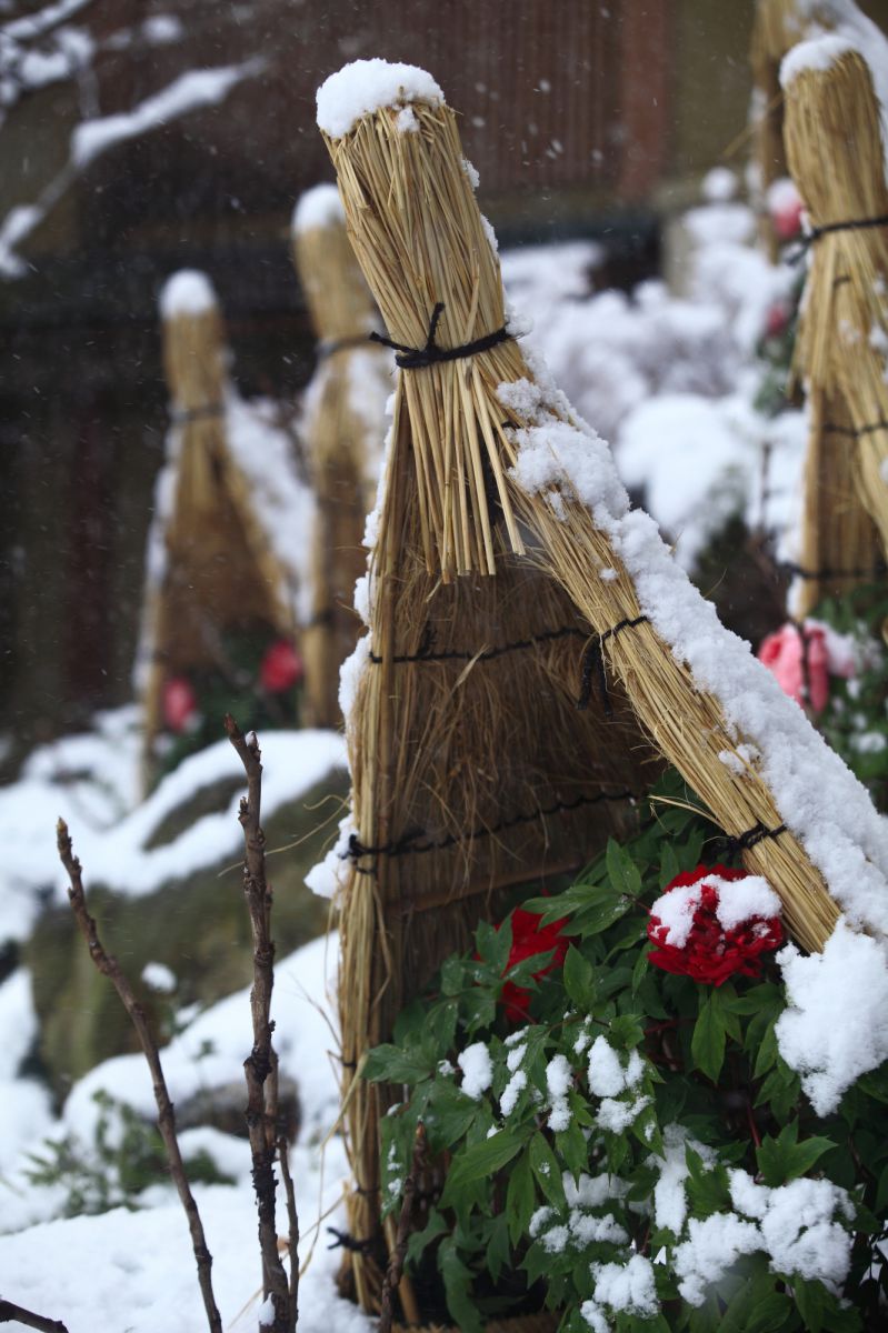 雪だるまのイラスト特集