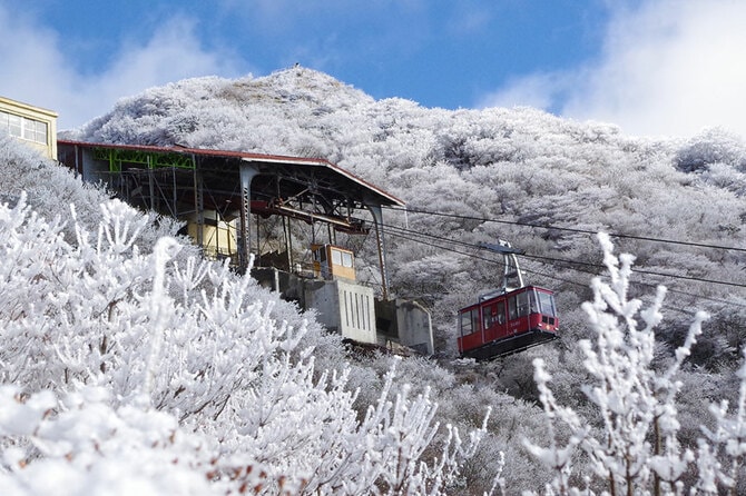 冬といえば？「日本の冬の風物詩」50選。花、自然、食べ物、行事、祭りなど 完全版
