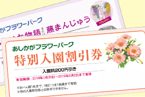 2025 あしかがフラワーパークのイルミネーションはいつからいつまで？期間とチケット情報を解説