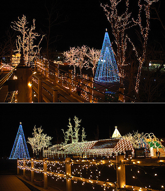 星取県主催の七夕イベント開催🎋@hoshitori_ken 2024年7月5日にとりぎん文化会館で 「CATCH the STARFESTIVAL」が開催されます！ 皆さんもぜひ鳥取県の美しい星空を 眺めながら楽しいひと時をお過ごしください😊開催スケジュール・17:45開会 ・17:50 ブラス