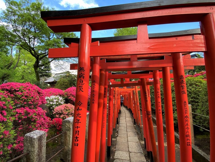 伏見稲荷大社の千本鳥居は迫力満点！ライトアップで幻想的な夜の参拝がおすすめ神社お寺でご縁巡り