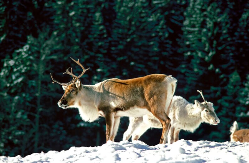 藤岡拓太郎 on X: 