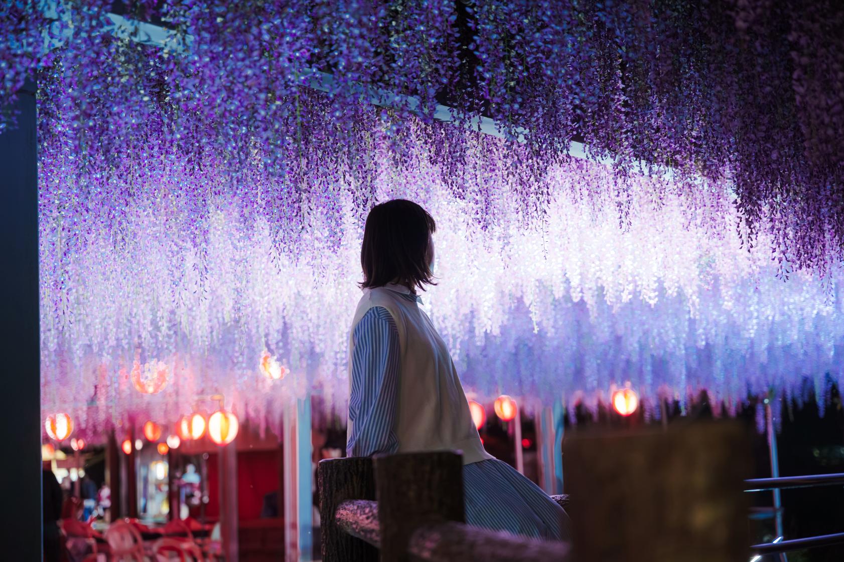 中山大藤まつりイベント公式 福岡県の観光 旅行情報サイト「クロスロードふくおか」