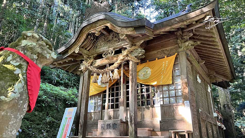 トピックス短信 3紙幣の裁断くずで「福銭」 今宮戎神社の十日戎でお授け - トピックス・短信 - 紙への道